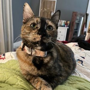 Meet your Posher, Devon